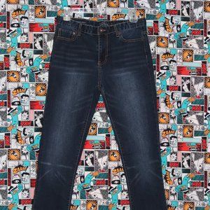Lucky Brand Authentic Skinny Jeans Size 16